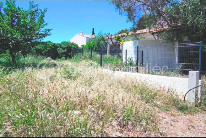 Terrain - 368 m²