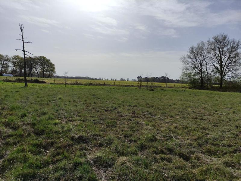 Terrain constructible - 1 217 m²