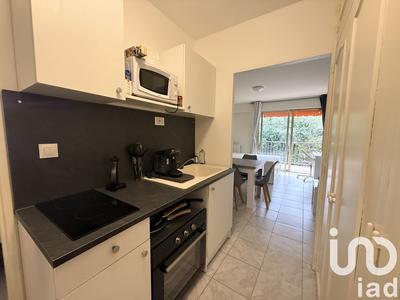 Studio - 24 m² - 1 pièce