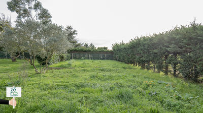 Terrain - 510 m²