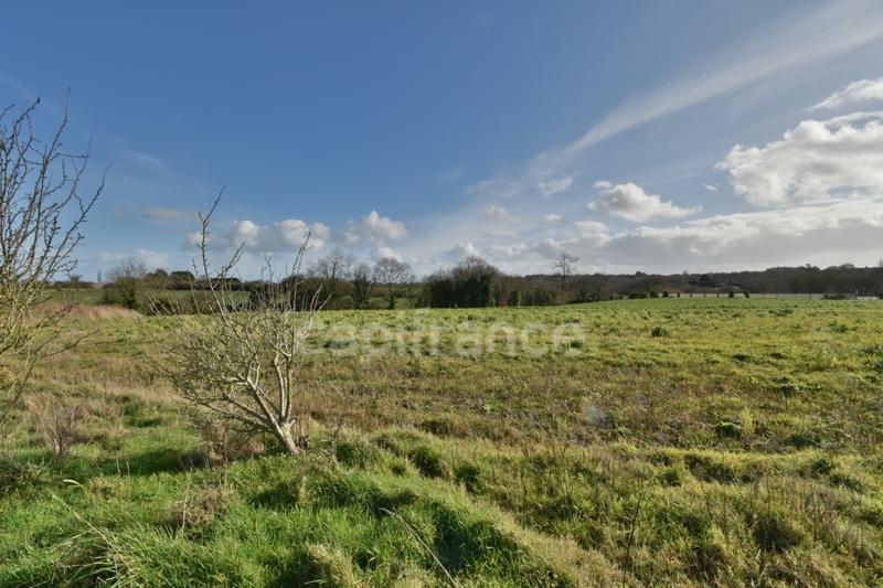 Maison en pierre - 75 m² - 4 pièces