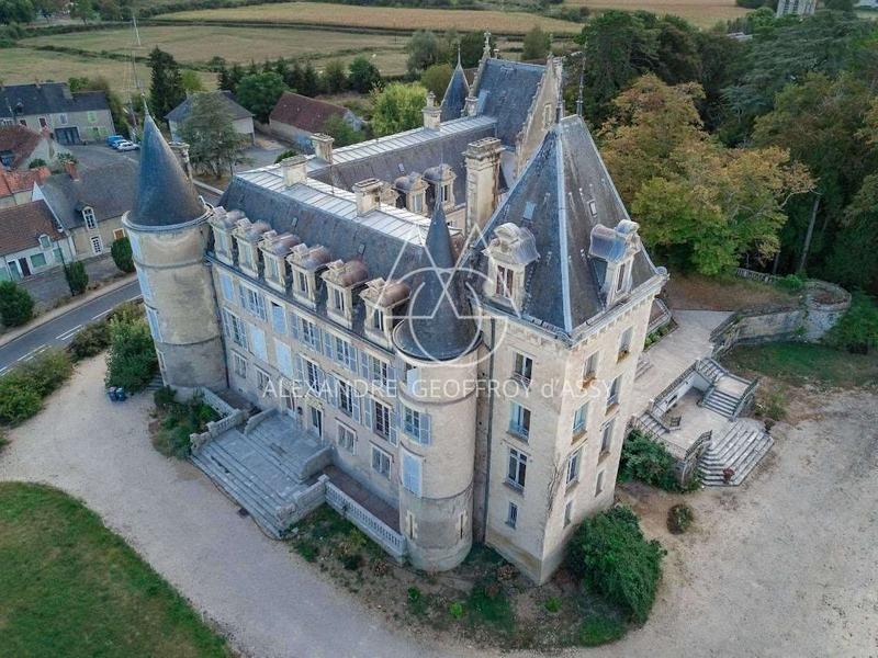 Château - 4 200 m² - 72 pièces