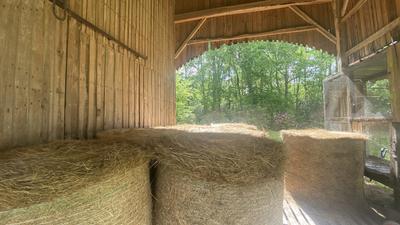 Maison - 350 m² - 7 pièces