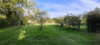 Terrain constructible - 3 149 m²