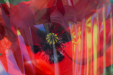 Exposition Photo : Christian Remember