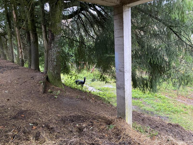 Maison ancienne - 87 m² - 6 pièces