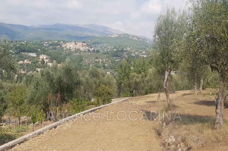 Terrain - 2 570 m²