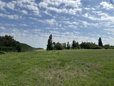Terrain - 1 000 m²