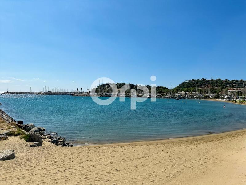 Studio - 20 m² - 1 pièce