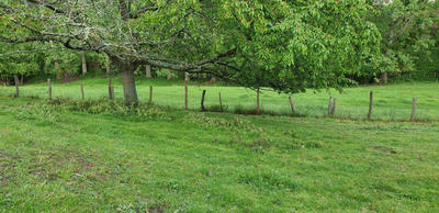 Maison - 250 m² - 1 pièce