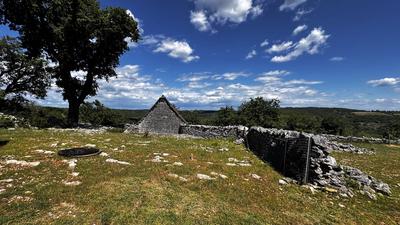 Terrain - 80 524 m²