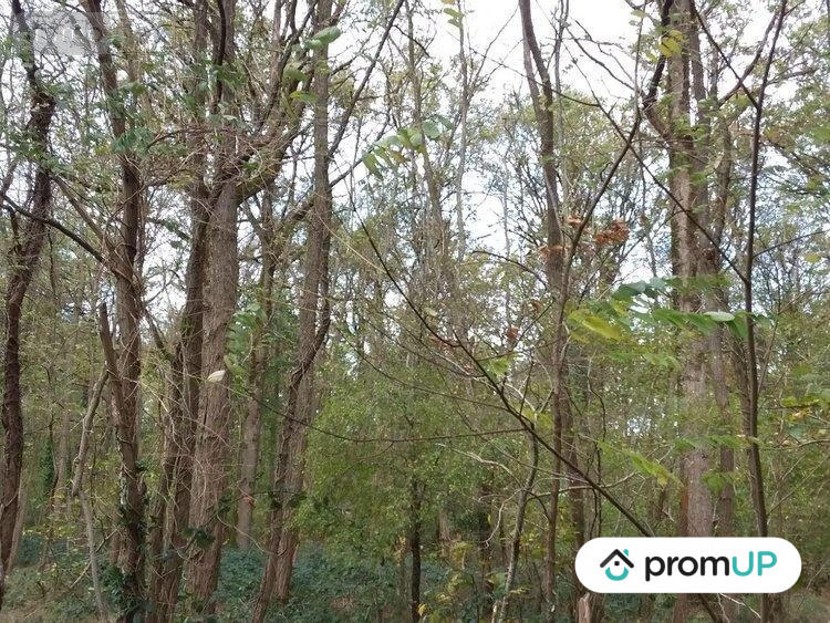 Terrain de loisirs - 5 570 m²