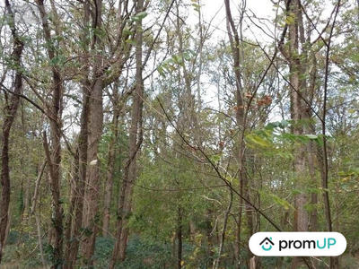 Terrain de loisirs - 5 570 m²