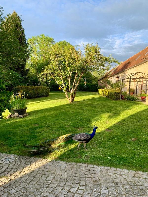 Corps de ferme - 271 m² - 8 pièces