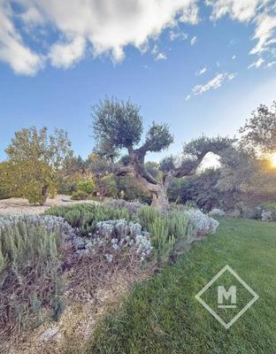 Maison d'architecte - 250 m² - 7 pièces