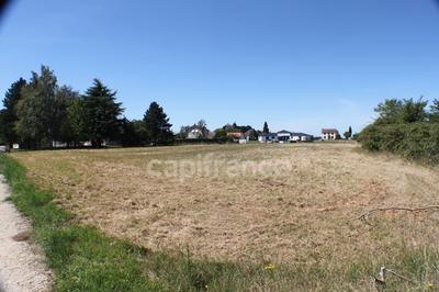 Terrain constructible - 3 553 m²