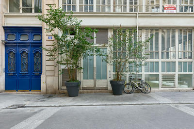 Local commercial - 291 m²