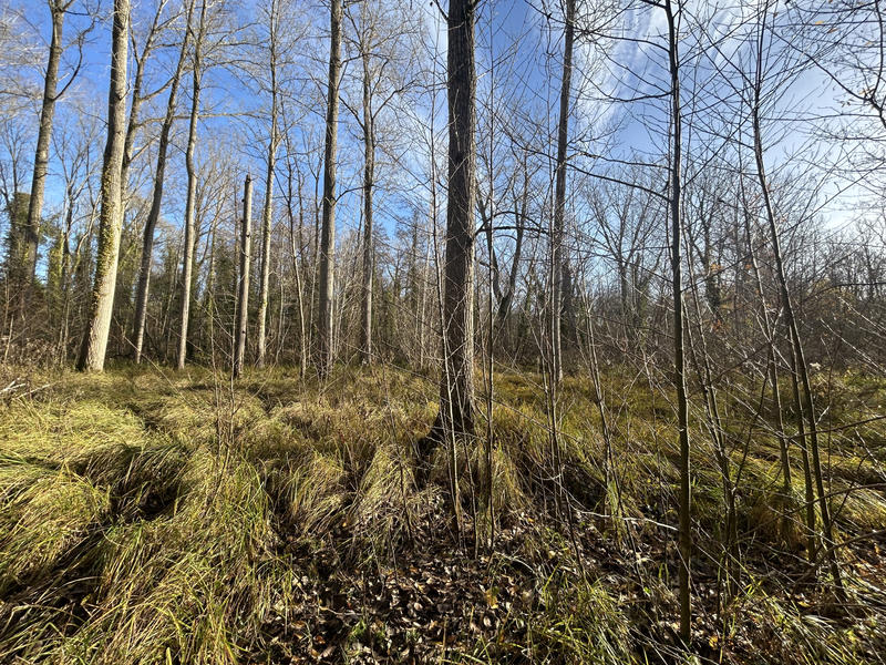 Maison - 263 m² - 7 pièces