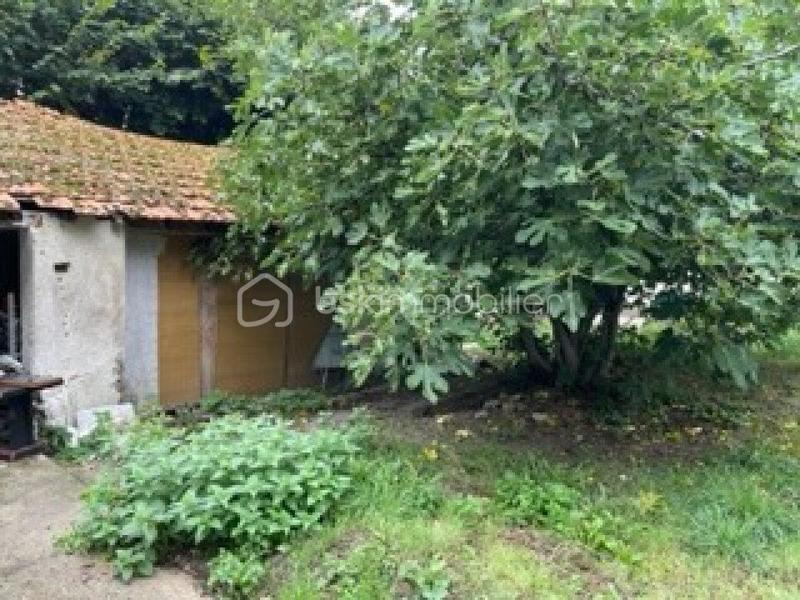 Duplex - 55 m² - 3 pièces