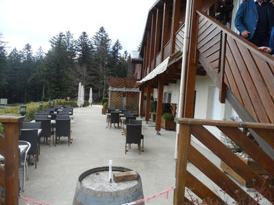 Local commercial - 550 m²