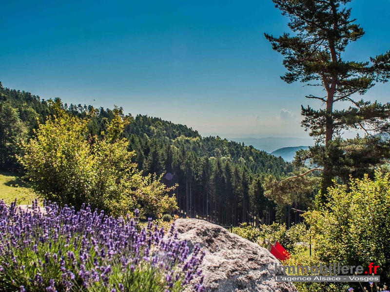 Duplex - 150 m² - 6 pièces