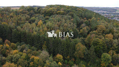 Terrain de loisirs - 490 000 m²