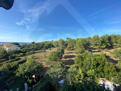 Appartement - 15 m² - 1 pièce