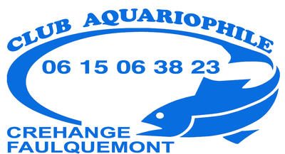 Club Aquariophile Crehange Faulquemont