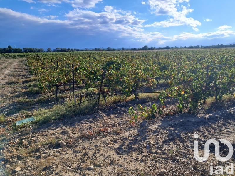 Terrain agricole - 29 000 m²