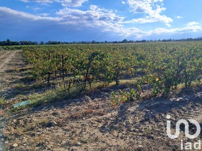 Terrain agricole - 29 000 m²