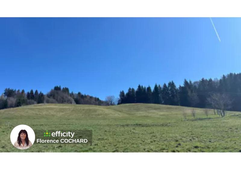 Terrain agricole - 50 000 m²