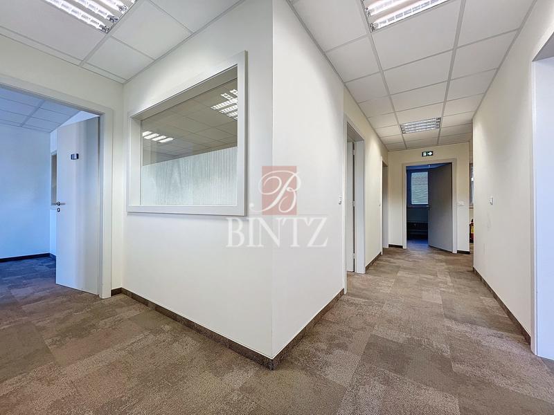 Bureau - 156 m²
