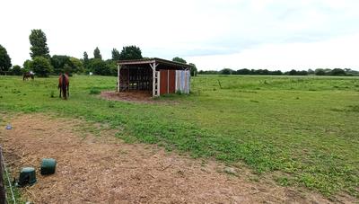 Maison - 131 m² - 6 pièces