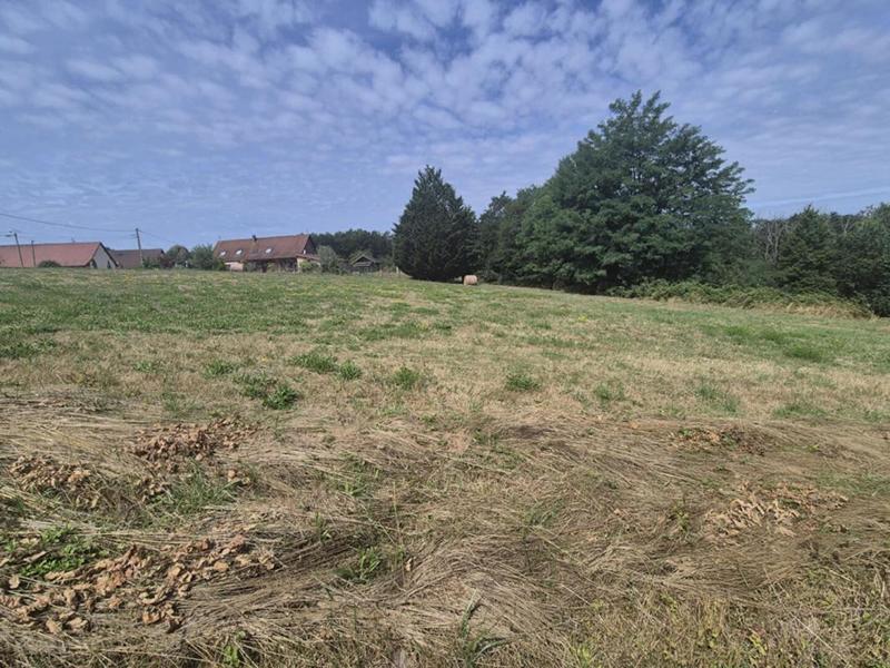 Terrain constructible - 3 163 m²
