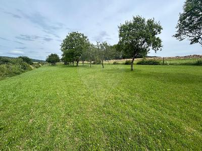 Terrain - 1 685 m²