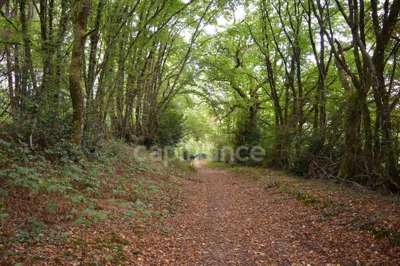 Propriété - 66 m² - 3 pièces