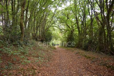 Propriété - 66 m² - 3 pièces