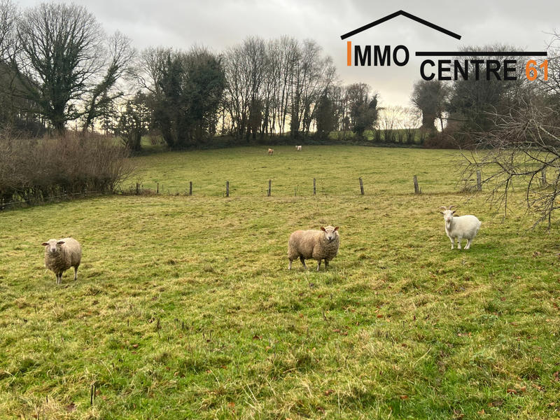 Maison - 100 m² - 6 pièces