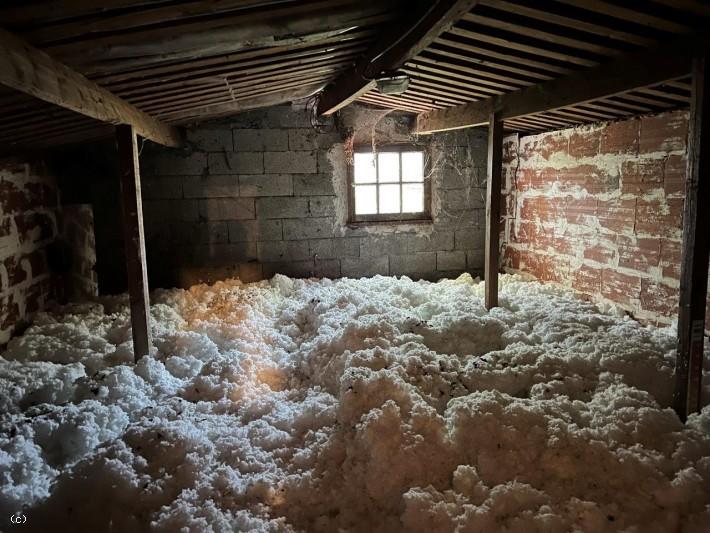 Maison chambre d'hôtes - 370 m² - 13 pièces