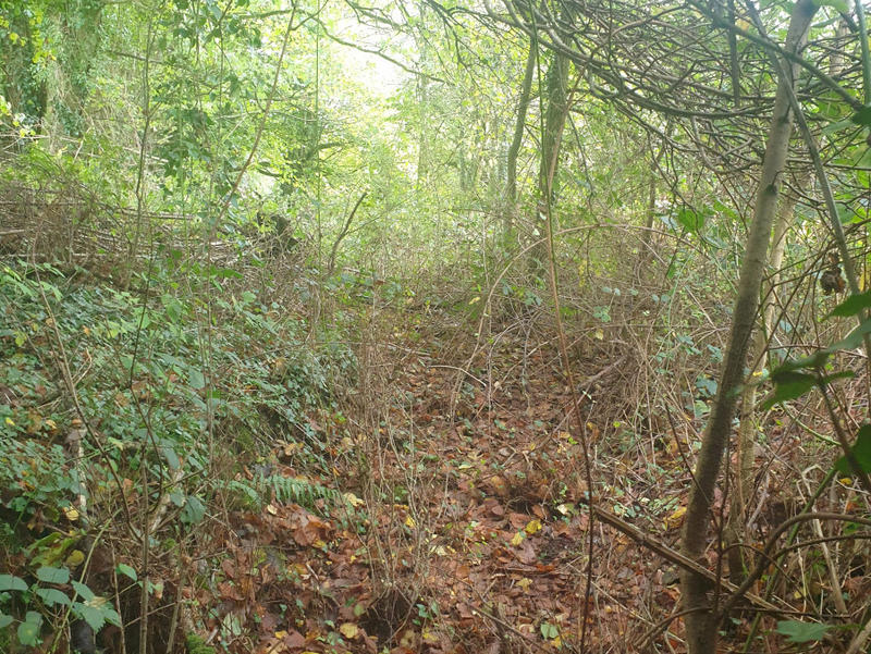 Maison - 50 m² - 2 pièces