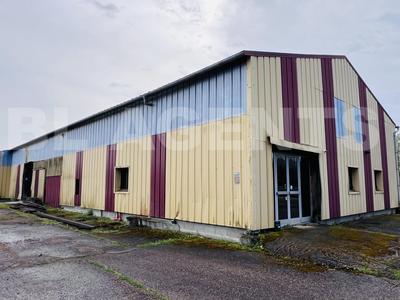 Local d'activités - 670 m² - 3 pièces