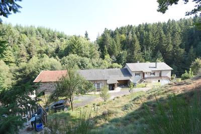 Maison en pierre - 141 m² - 6 pièces