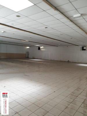 Local d'activité / Entrepôt - 600 m²
