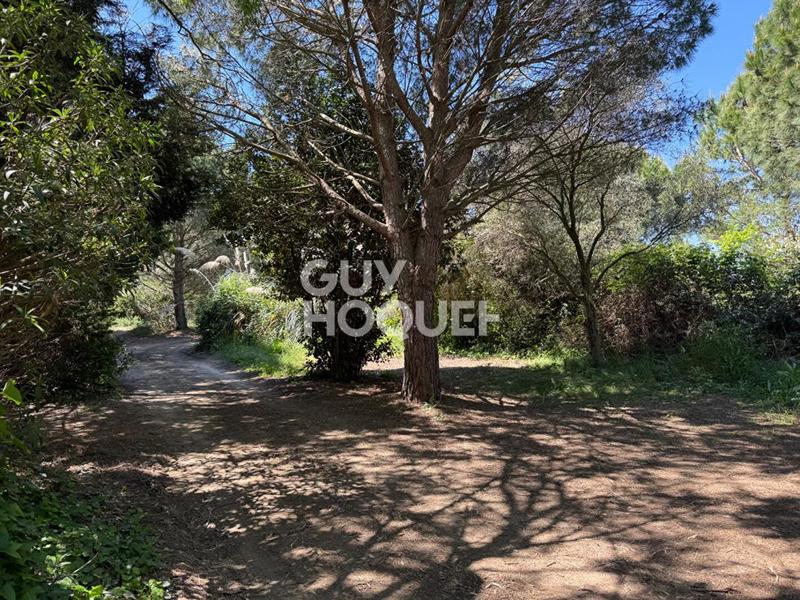 Terrain de loisirs - 28 576 m²