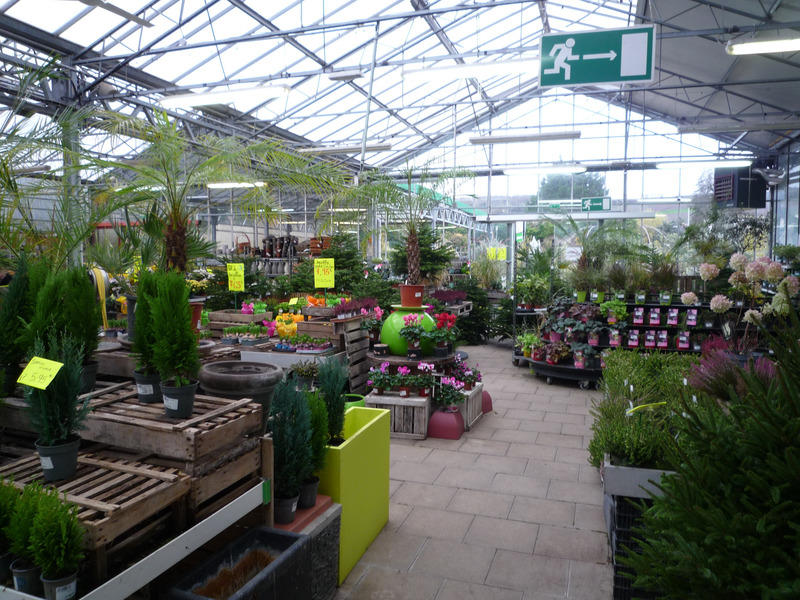 Local commercial - 1 022 m² - 7 pièces