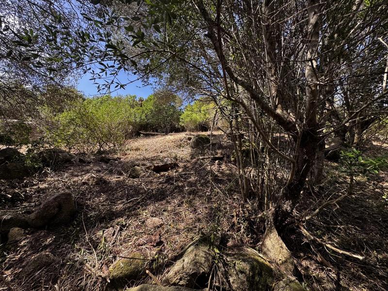 Terrain constructible - 1 490 m²