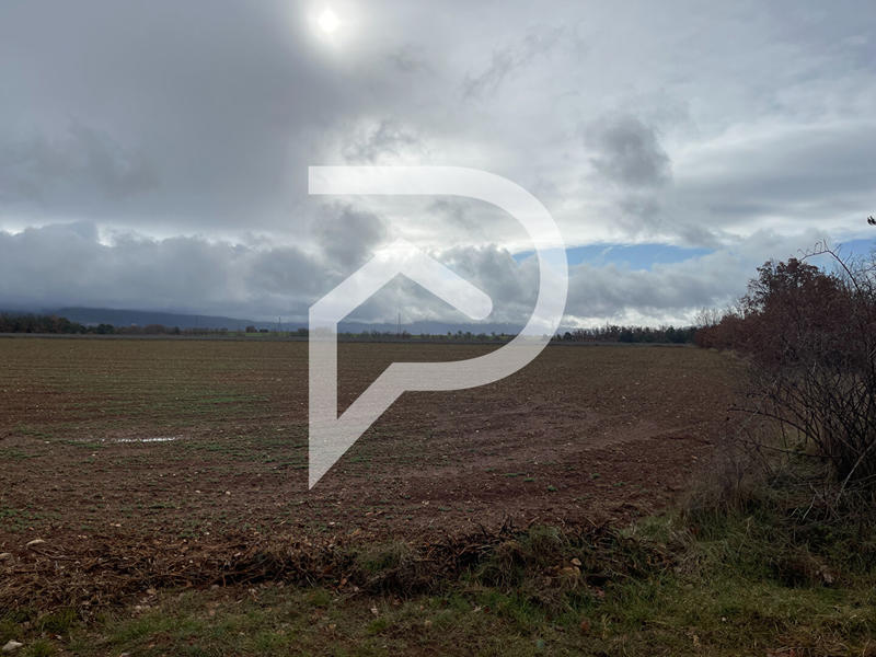 Terrain agricole - 37 641 m²