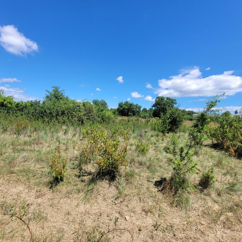 Terrain constructible - 1 075 m²