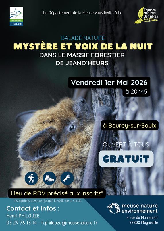 Animation nature : mystères et voix de la nuit