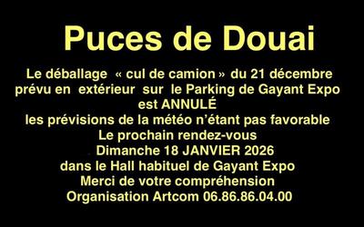 Marché aux puces du nord à gayant expo douai